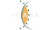 ICASA_logo